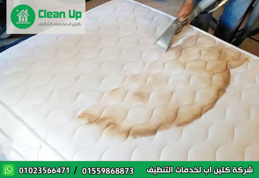 تنظيف مراتب في التجمع الخامس